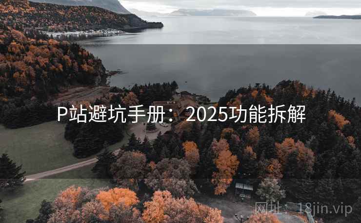 P站避坑手册：2025功能拆解