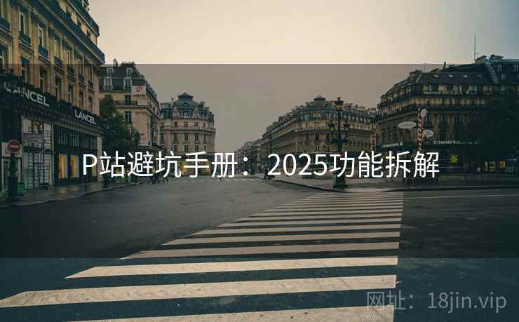 P站避坑手册：2025功能拆解