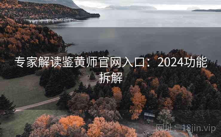 专家解读鉴黄师官网入口：2024功能拆解