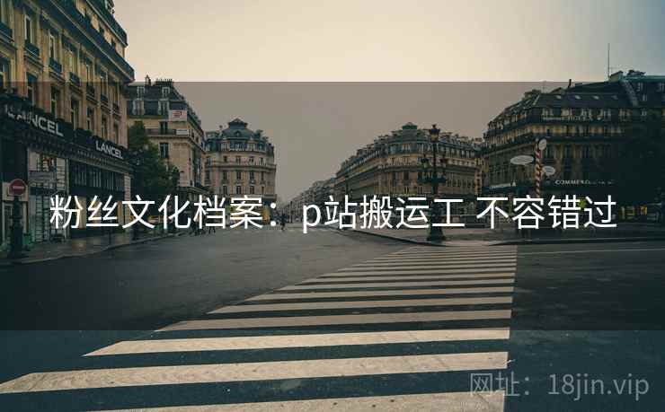 粉丝文化档案:p站搬运工 不容错过 粉丝文化档案:p站搬运工 不容错过