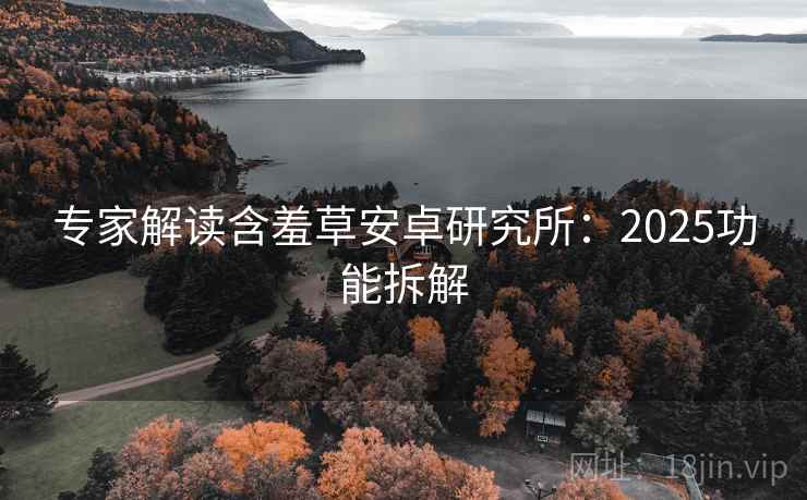 专家解读含羞草安卓研究所：2025功能拆解