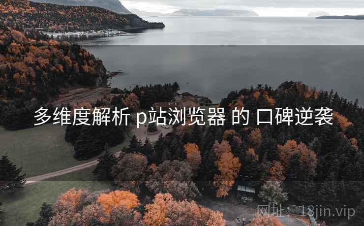 多维度解析 p站浏览器 的 口碑逆袭