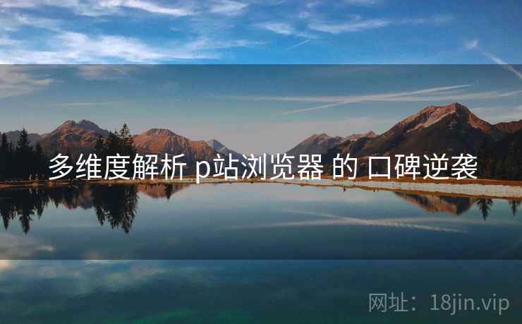 多维度解析 p站浏览器 的 口碑逆袭