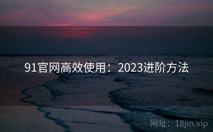 91官网高效使用：2023进阶方法