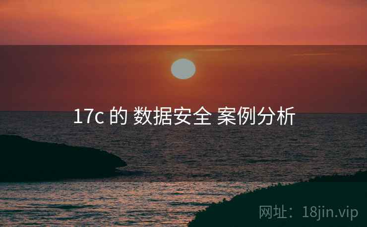 17c 的 数据安全 案例分析