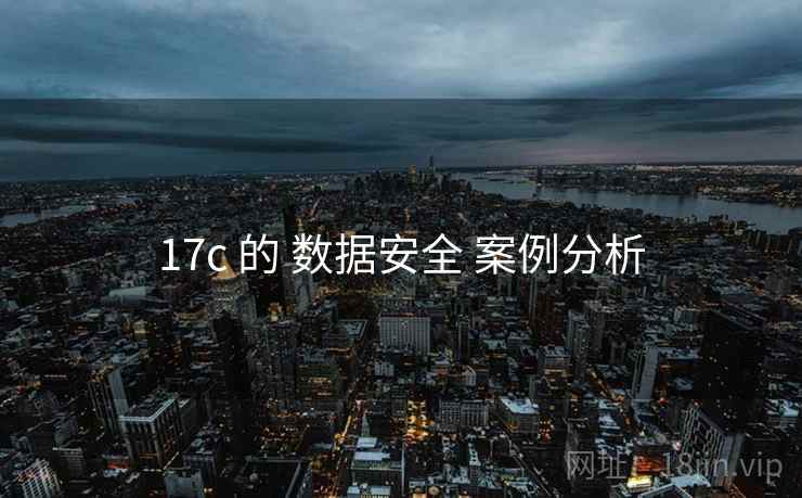 17c 的 数据安全 案例分析
