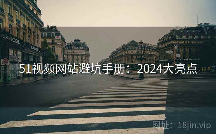 51视频网站避坑手册：2024大亮点