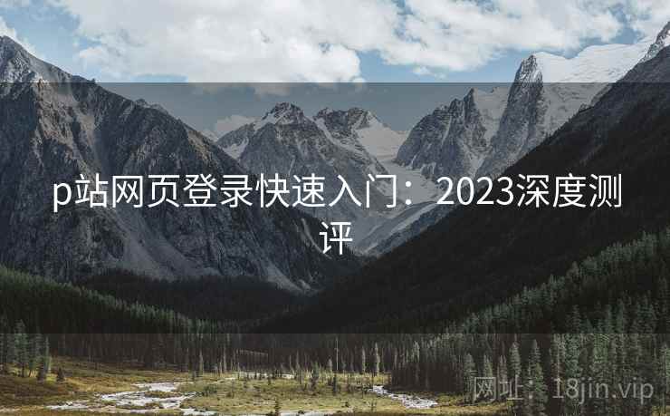 p站网页登录快速入门：2023深度测评